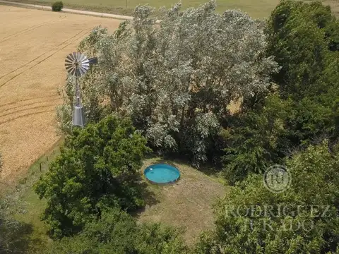 Campo de 49 Ha San Antonio de Areco