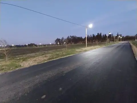 Arbolada de Longchamps. B° Parque. Espora esq Zeballos