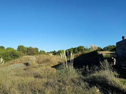 Terreno en Venta de 1335,0 m2