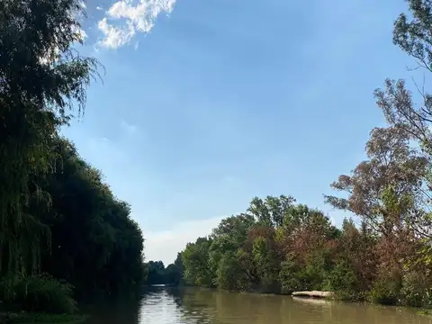 Isla Rio Paraná De Las Palmas