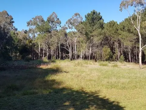 Arenas Verdes, Loberia - 55 has. Bosque y mar