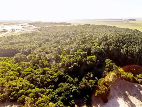 Arenas Verdes, Loberia - 55 has. Bosque y mar