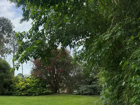 Terreno en Venta de 705,0 m2