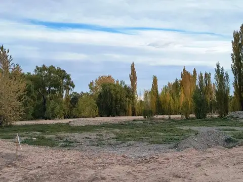 Cornelio Saavedra 5800