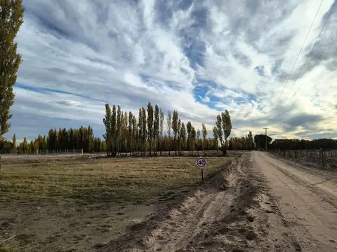 Terreno en Venta de 300,0 m2