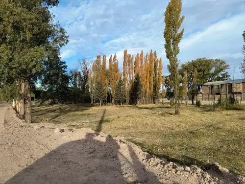 Cornelio Saavedra 5800