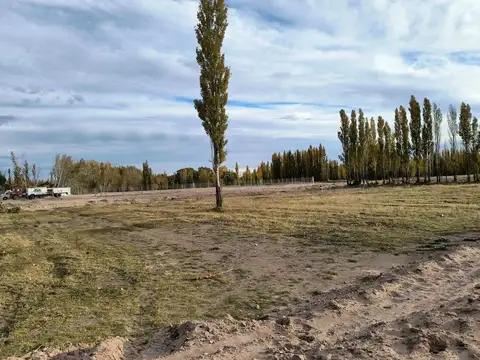 Terreno en Venta de 300,0 m2
