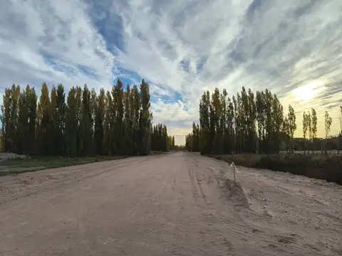 Cornelio Saavedra 5800