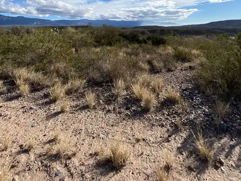 Ruta Provincial 82 5900