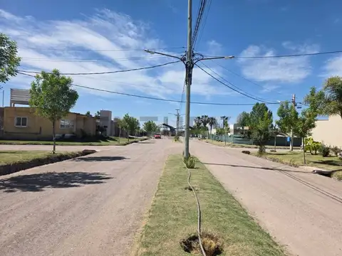 godofredo paladini , Piso 0