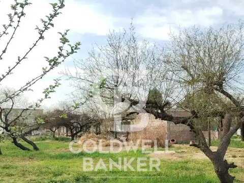 Terreno en Venta de 1000,0 m2