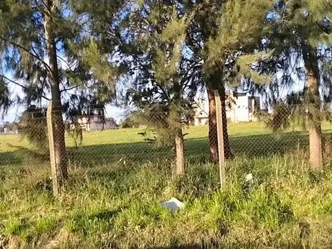 Terreno en Venta de 420,0 m2