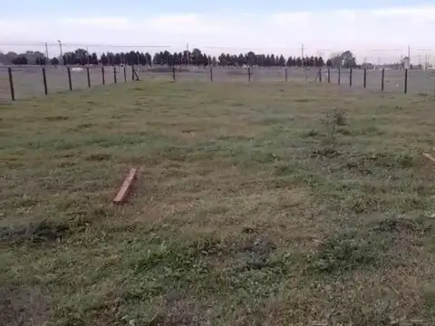 Leopoldo Marechal 800