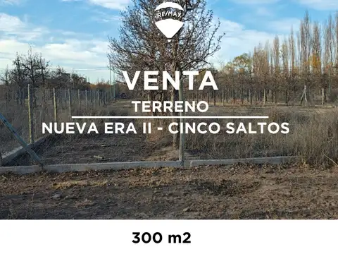 TERRENO NUEVA ERA II CINCO SALTOS
