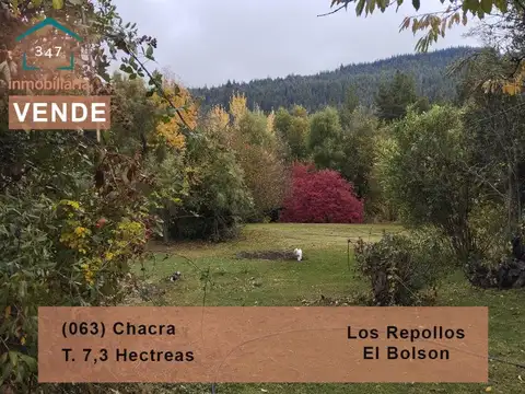 (063) BOLSON (Los Repollos), Chacra de 7,3Has. con tres viviendas