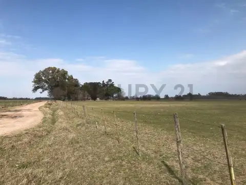 Ruta 3 km 214 , Piso 0