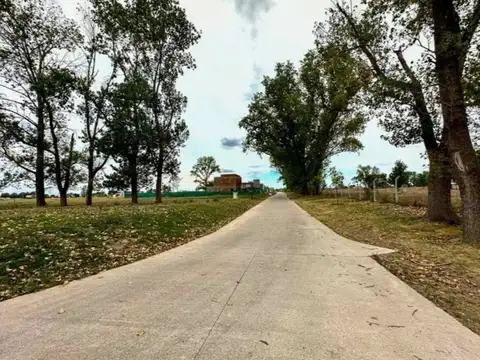 Terreno en Venta de 1303,0 m2