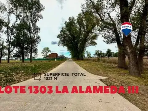 TERRENO EN VENTA LA ALAMEDA ETAPA 3 1321 M2