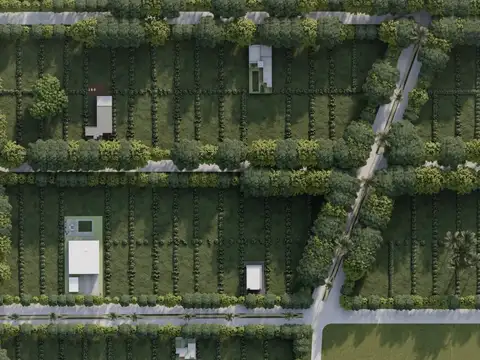 Terreno en Venta 30  mts Fondo