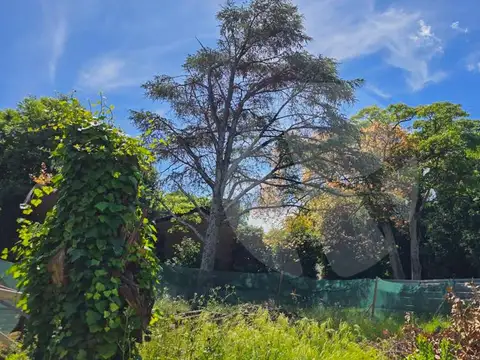 Terreno en Venta de 480,0 m2