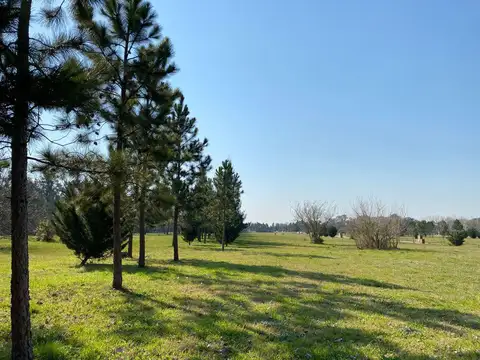 Terreno en Venta en Campana, USD 45.000