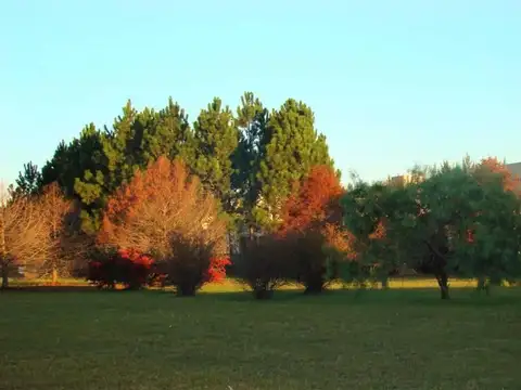Segunda Etapa El Cardal Terrenos