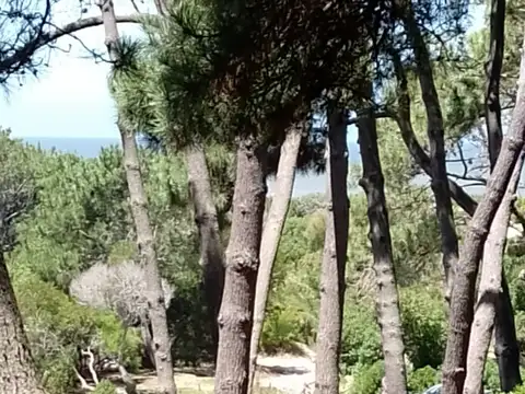 Terreno en Venta, FOT 0,6