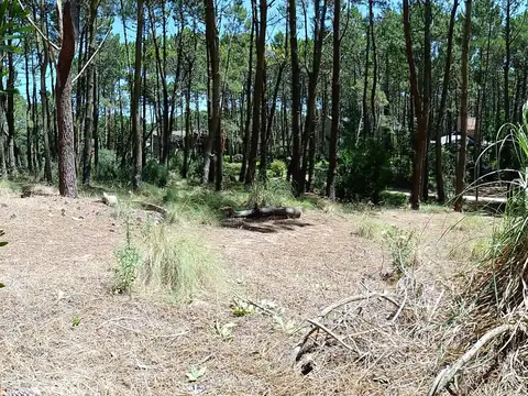 Terreno en Venta, FOS 0,3