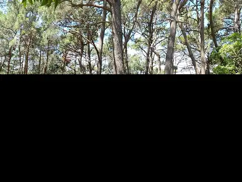 Terreno en Venta 40  mts Fondo