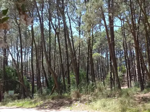 Terreno en Venta en Mar De Las Pampas, USD 0