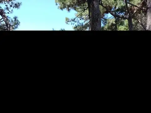 Terreno en Venta 50  mts Frente