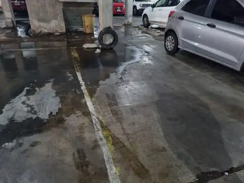 MARGARITA WEILD 2100