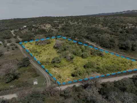 Avenida la Blanqueada