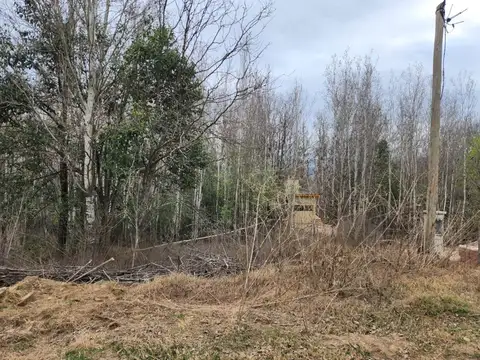 Los paraisos esq belgrano