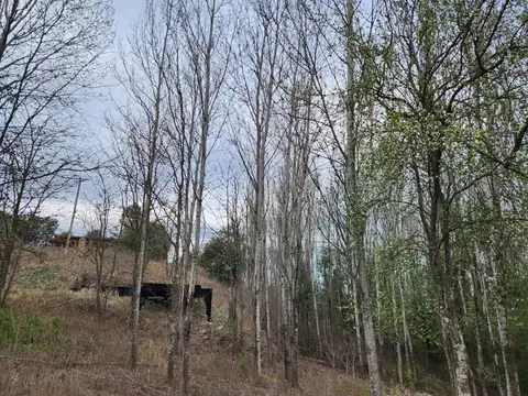 Terreno en Venta en Yacanto Calamuchita, USD 10.000