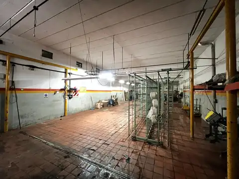 Escribano J.F. Cagnini al 2000