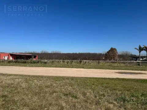 VENTA TERRENO 5000M2. LA RANITA. MANZANARES