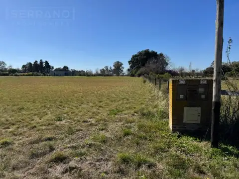 VENTA TERRENO 5000M2. LA RANITA. MANZANARES