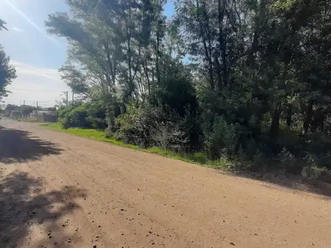 ARENALES Y CONSTITUCION 100