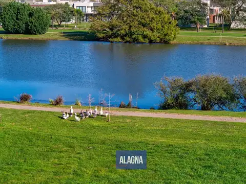 Terreno en Venta 20  mts Frente