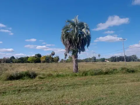 En Venta Lote 23 La Eleonor, Berna