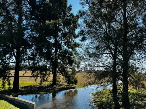 Venta Lote Santa Maria de Lobos Ruta Provincial 41