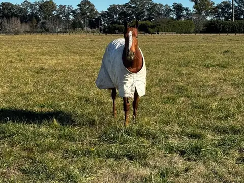 Terreno en Venta de 14279,0 m2