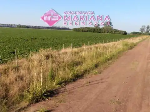 CAMPO AGRICOLA - 77 HECTAREAS - SAN PEDRO