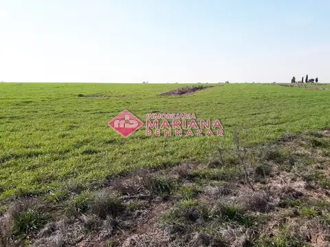 CAMPO AGRICOLA - 77 HECTAREAS - SAN PEDRO