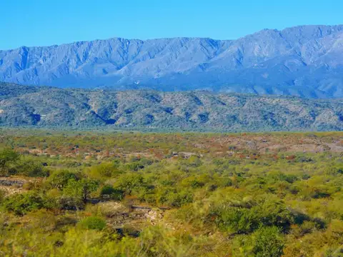 Terreno en Venta de 240,0 m2