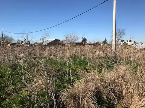 182 bis entre 516 y 516 bis 100, Piso 0