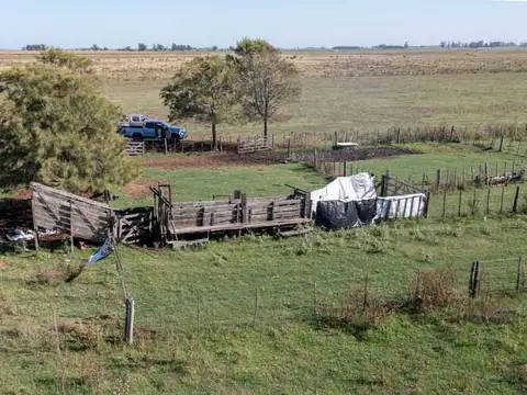 Campo en Venta Ganadero