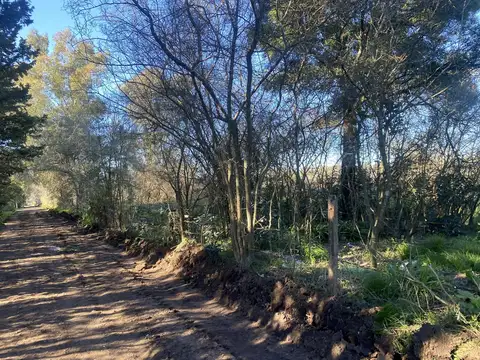 Terreno en Venta 33  mts Fondo