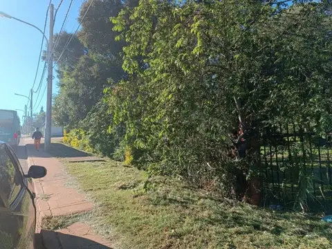 Colectora Ruta 12 km 12